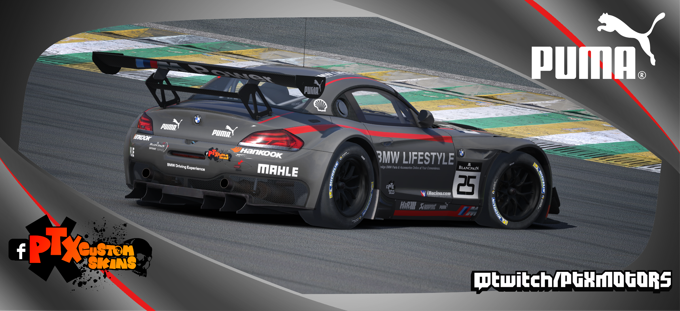 Bmw z4 dtm