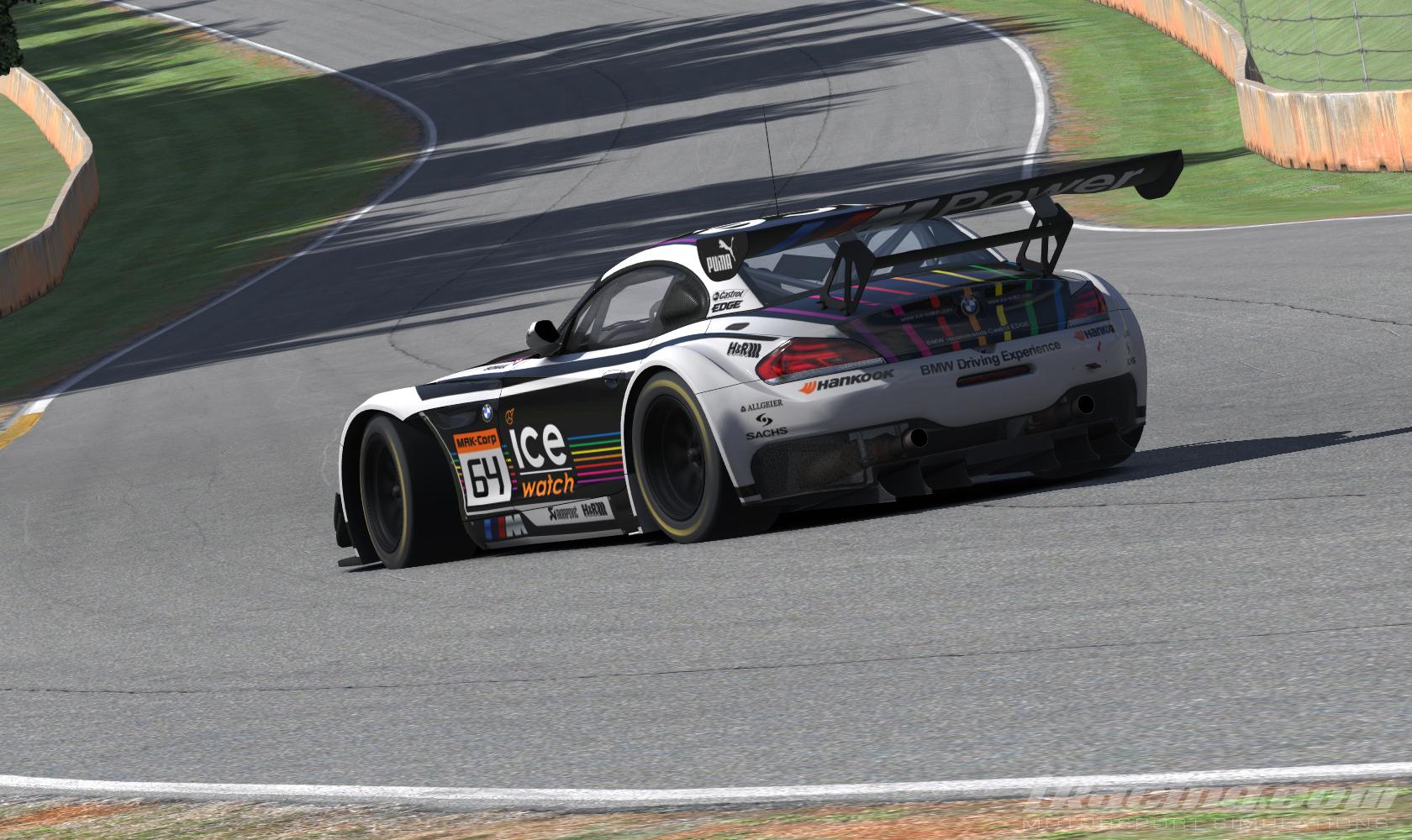 Bmw z4 dtm