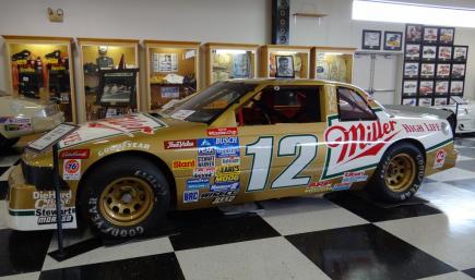 1988 Bobby Allison Tribute by Tom McGraw - Trading Paints